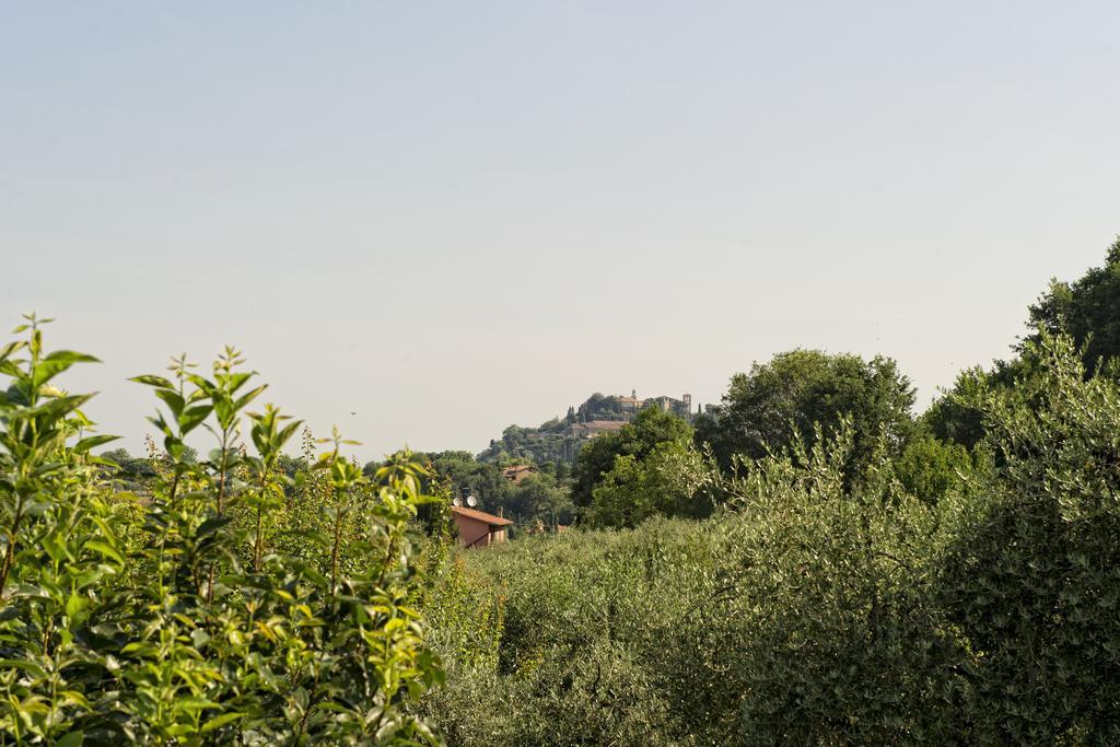 Agriturismo I Roseti Montepulciano Stazione Quarto foto